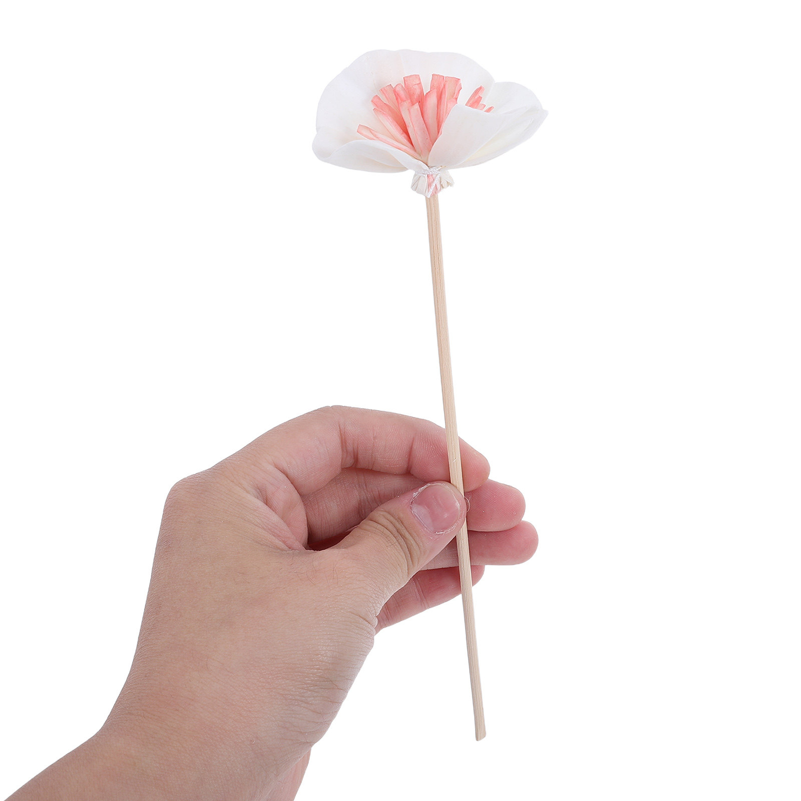 10 ชิ้น แท่งกระจายกลิ่นน้ำมันห - Home Fragrance Usa บทวิจารณ์และราคา