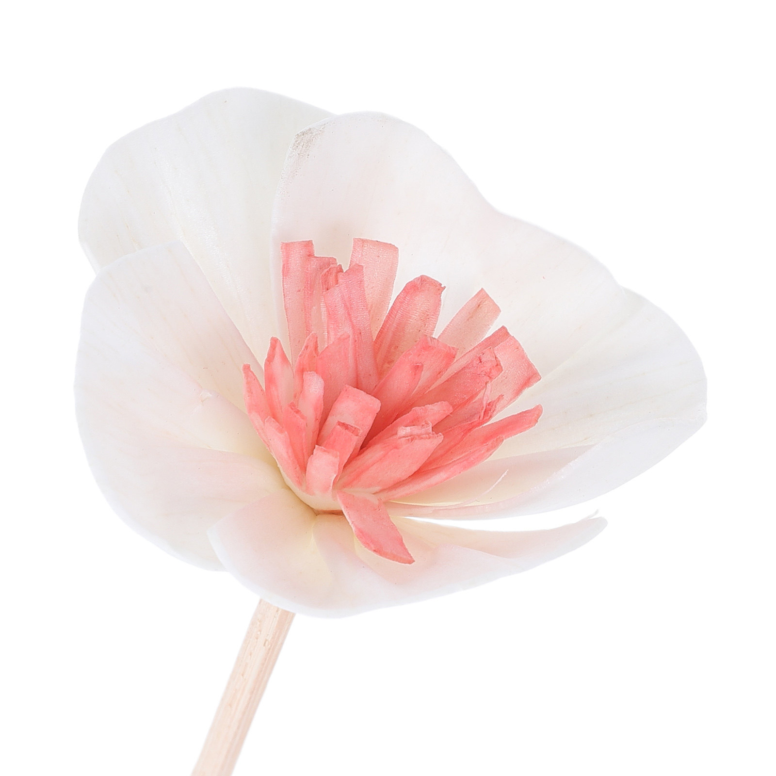 10 ชิ้น แท่งกระจายกลิ่นน้ำมันห - Home Fragrance Usa บทวิจารณ์และราคา