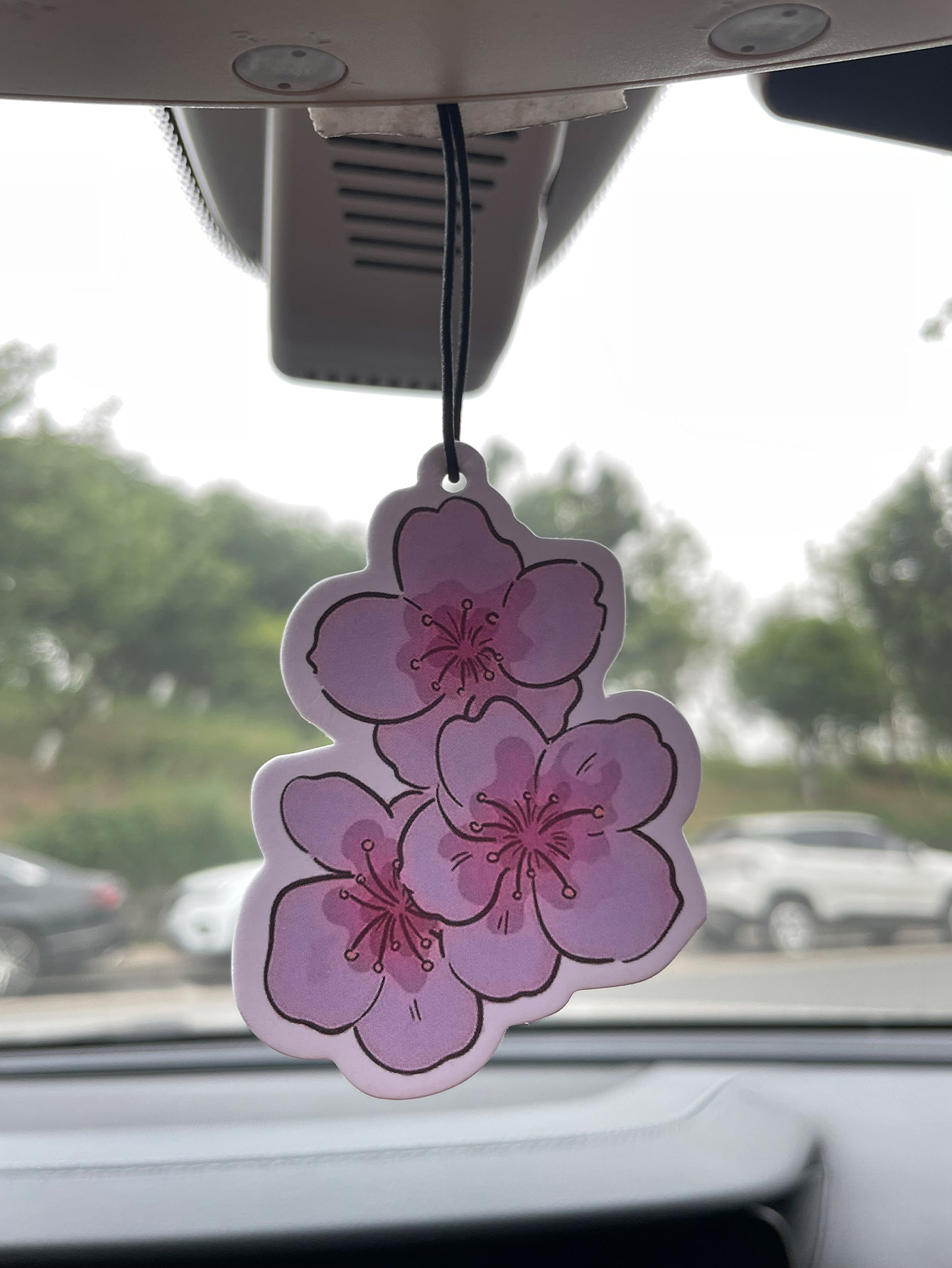 น้ำหอมปรับอากาศในรถยนต์กลิ่นซา - Home Fragrance Non Toxic บทวิจารณ์และราคา