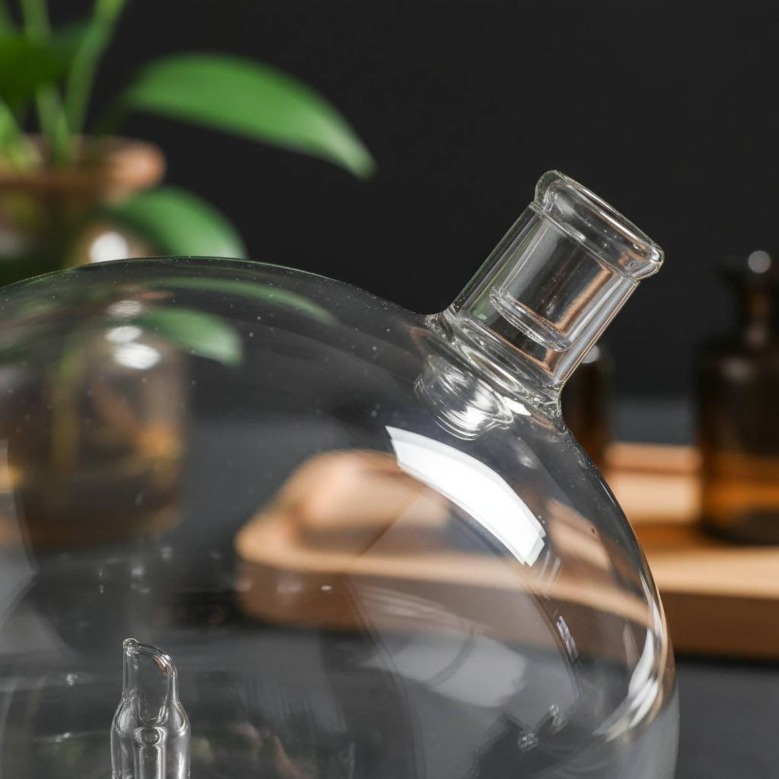 ขวดดิฟฟิวเซอร์แบบแก้ว ใช้แทนได - Home Fragrance Usa บทวิจารณ์และราคา